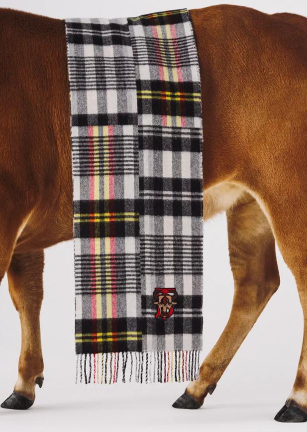 burberry兔年新款,burberry2019早春款