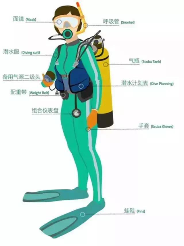 国内潜水需要潜水证吗,潜水考证后在哪潜水