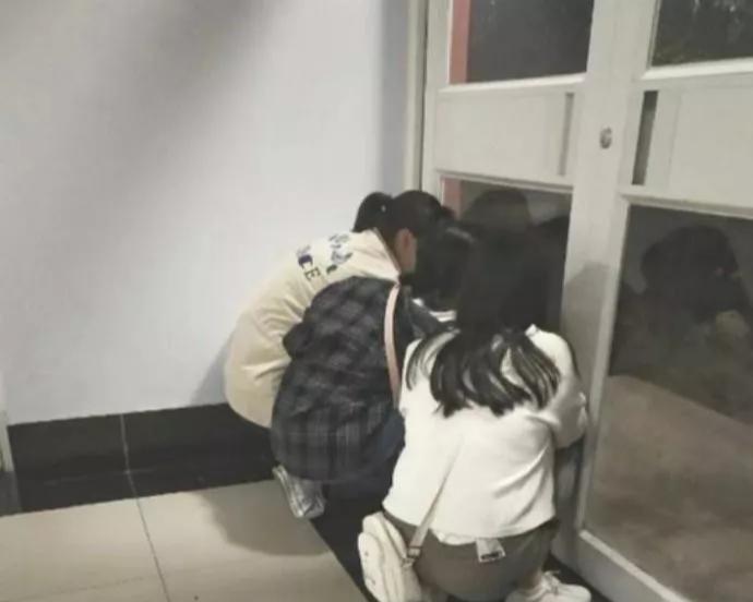 被绿结婚聊天记录截屏,闺蜜沙雕聊天记录截图