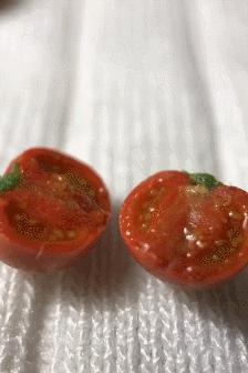 一个90后全职妈妈,一个90后的全职妈妈