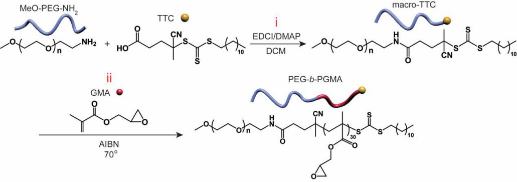 哈医大一院眼科医院院长张弘,哈医大眼科张弘教授
