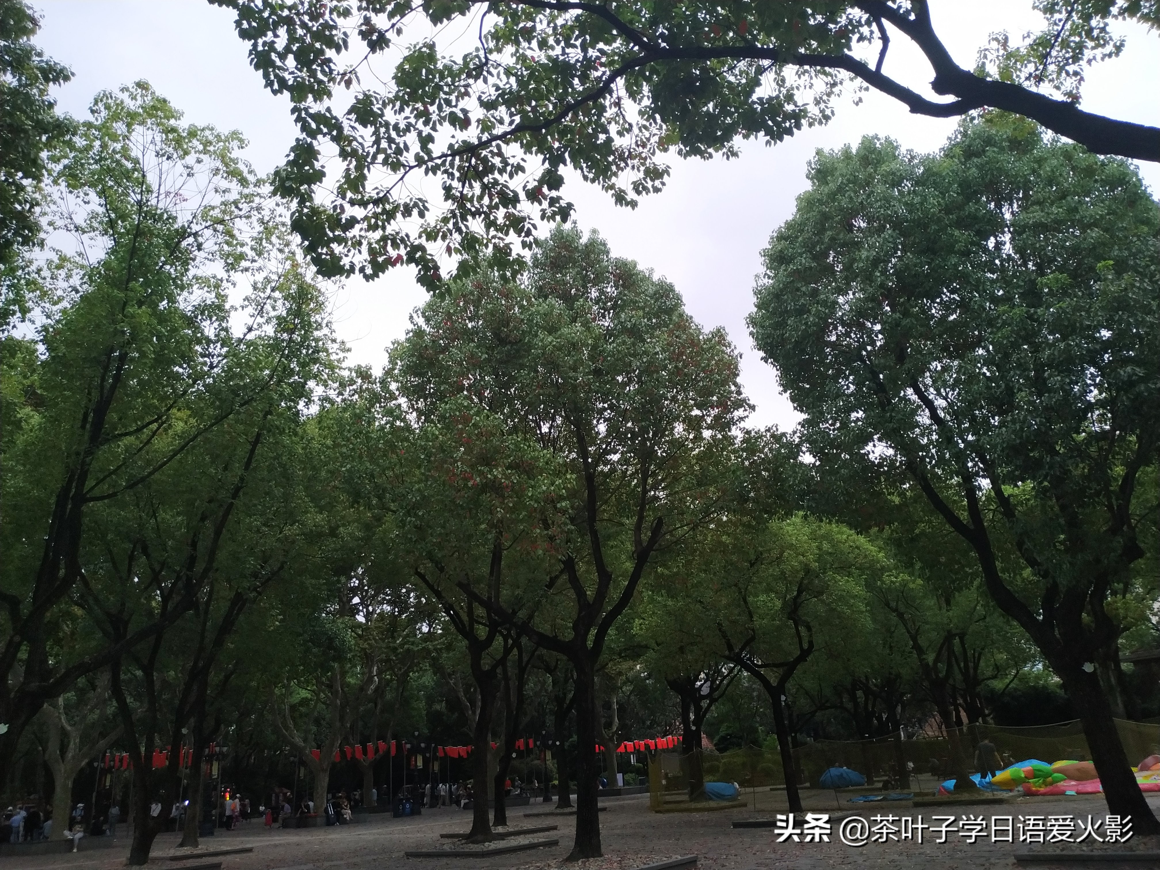 上海甜爱路，打卡不要错过哦，还有鲁迅公园