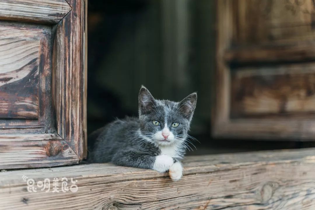 昆明高原明珠牛头宴,昆明附近哪里有世外桃源