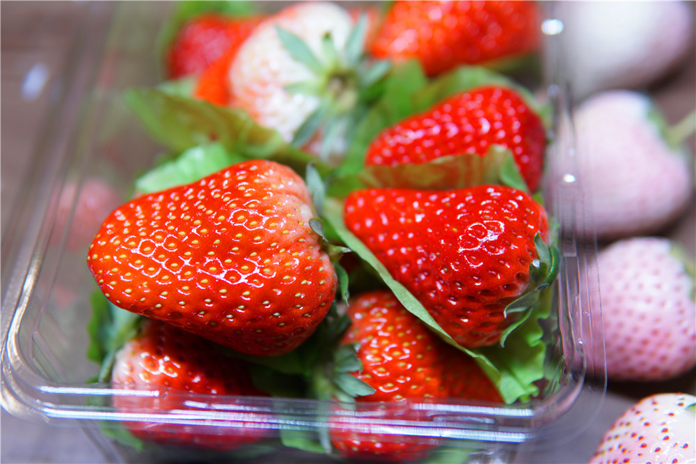 如何在网上买到真草莓,怎么在网上买正宗丹东草莓