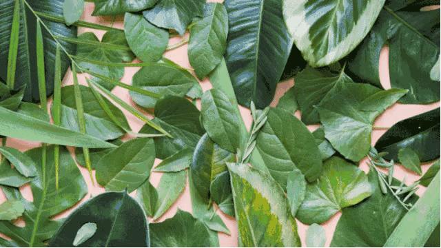 反叛先锋,潮流味道,这瓶最小众时髦的香水,我先买为敬