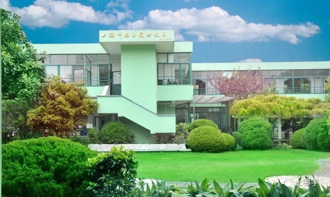 上海这一区53所幼儿园资源盘点！都是家门口的好幼儿园