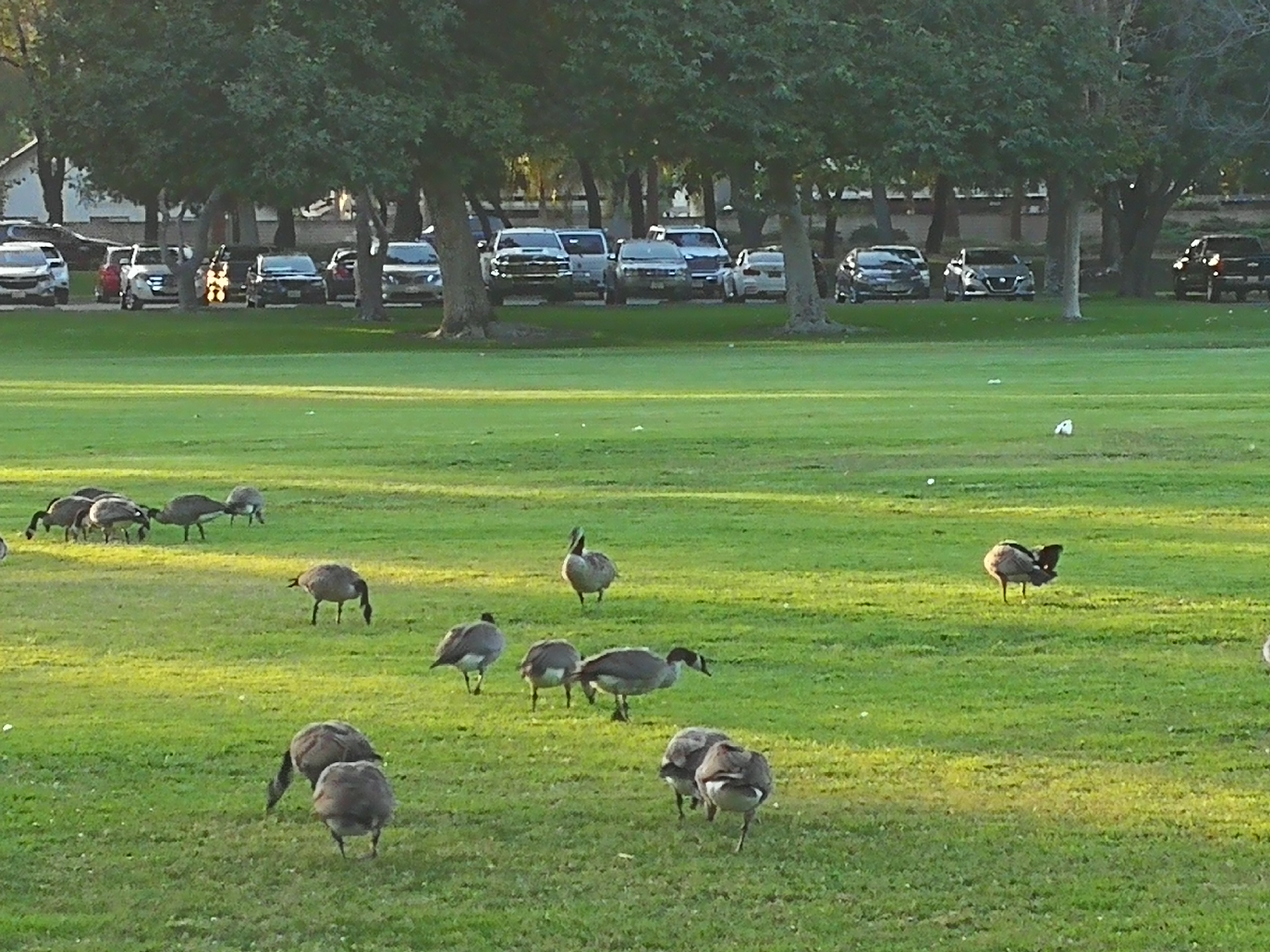 银行财富管理的挑战,财富管理的必要性是什么