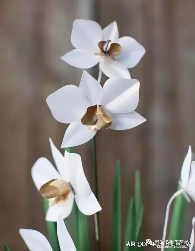 女生手工制作纸花大全,纸花制作礼物