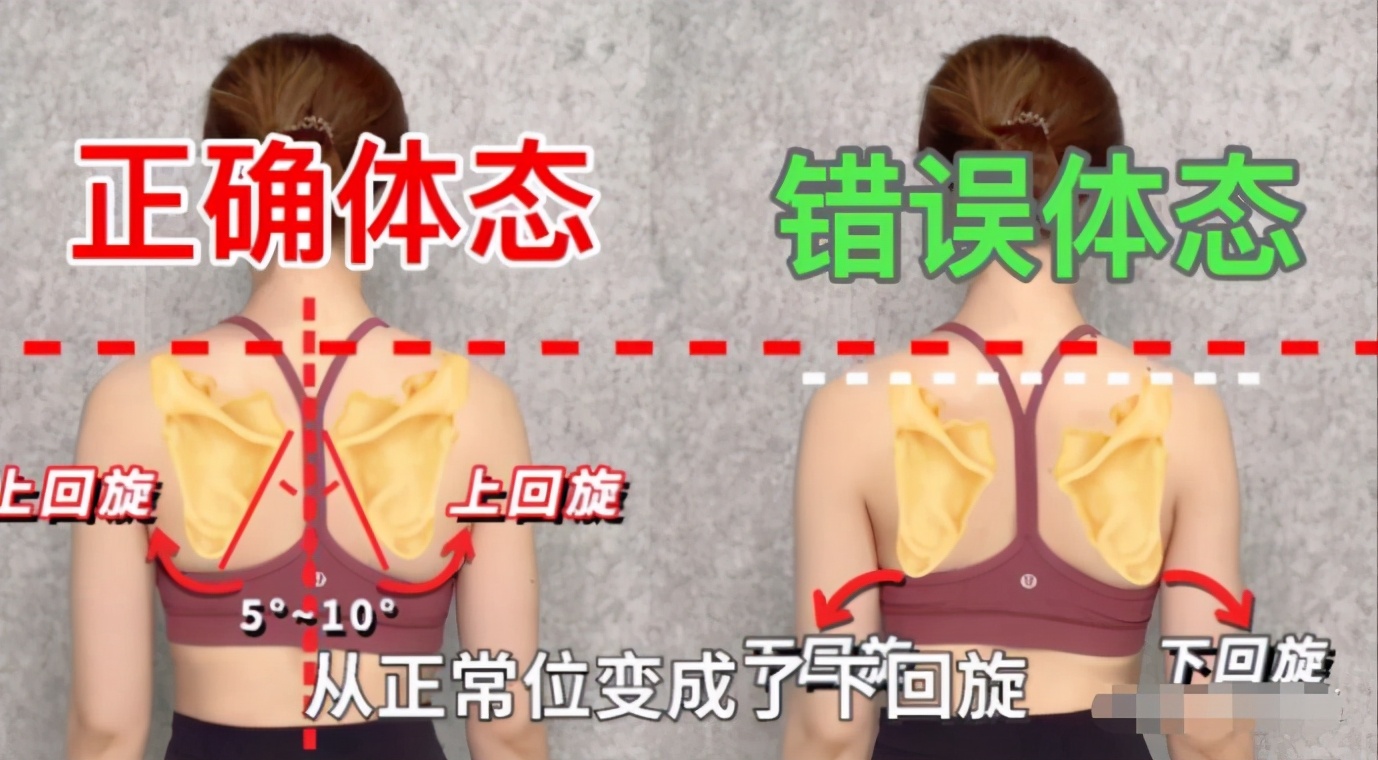 钟楚曦凹直角肩教程,女生学钟楚曦直角肩