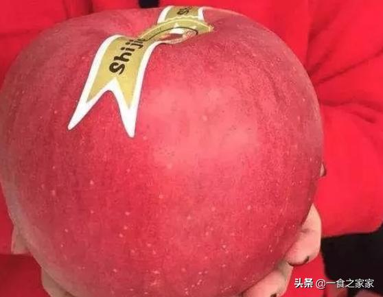 十种顶级水果排行,十种最顶级的水果