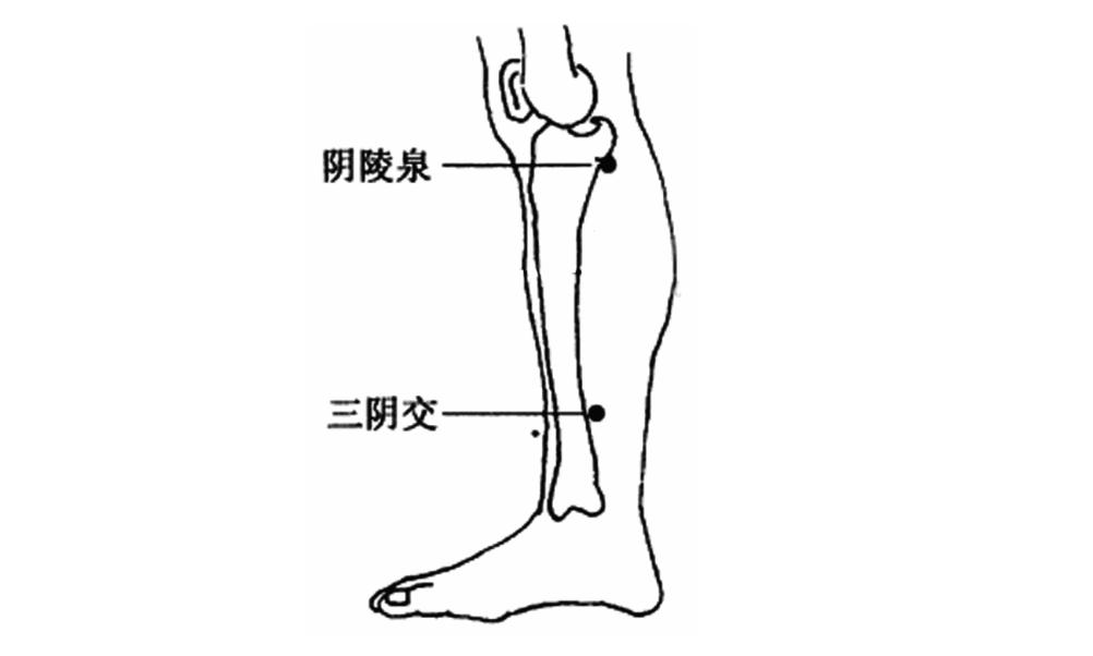 夏天湿气重的人怎么排湿,湿盛的人怎么调理