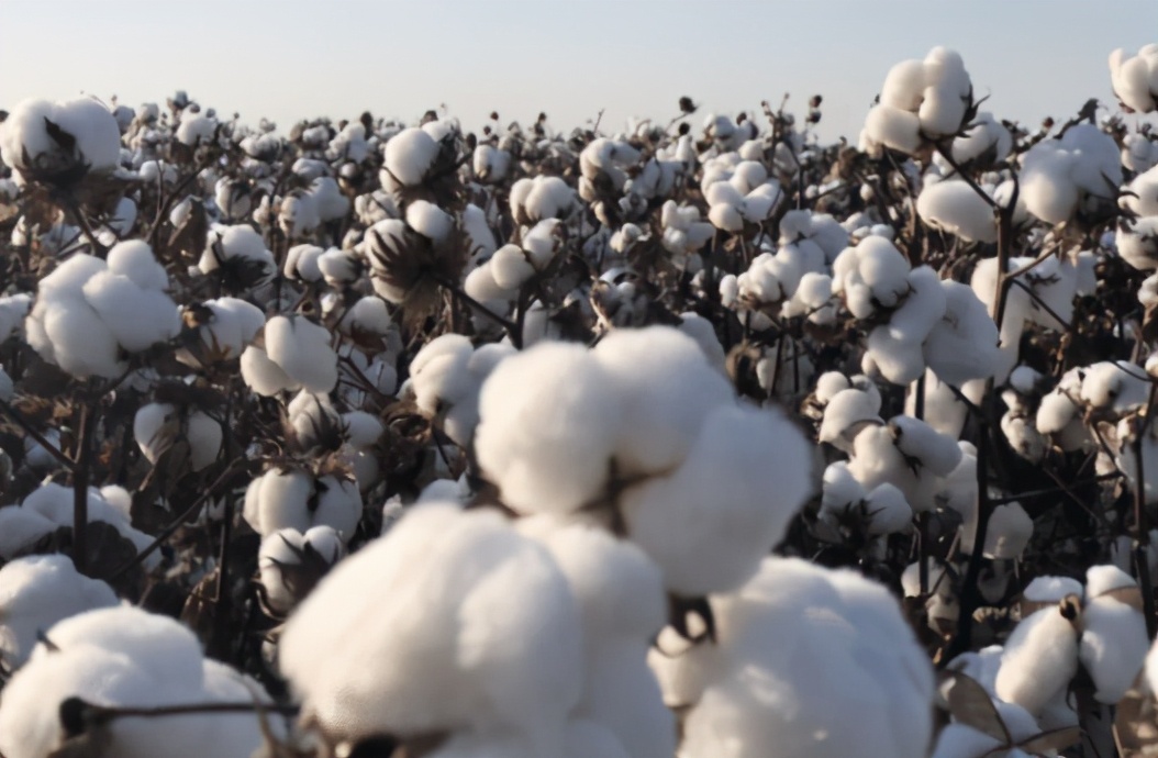 优衣库事件最新消息,优衣库事件最新新闻