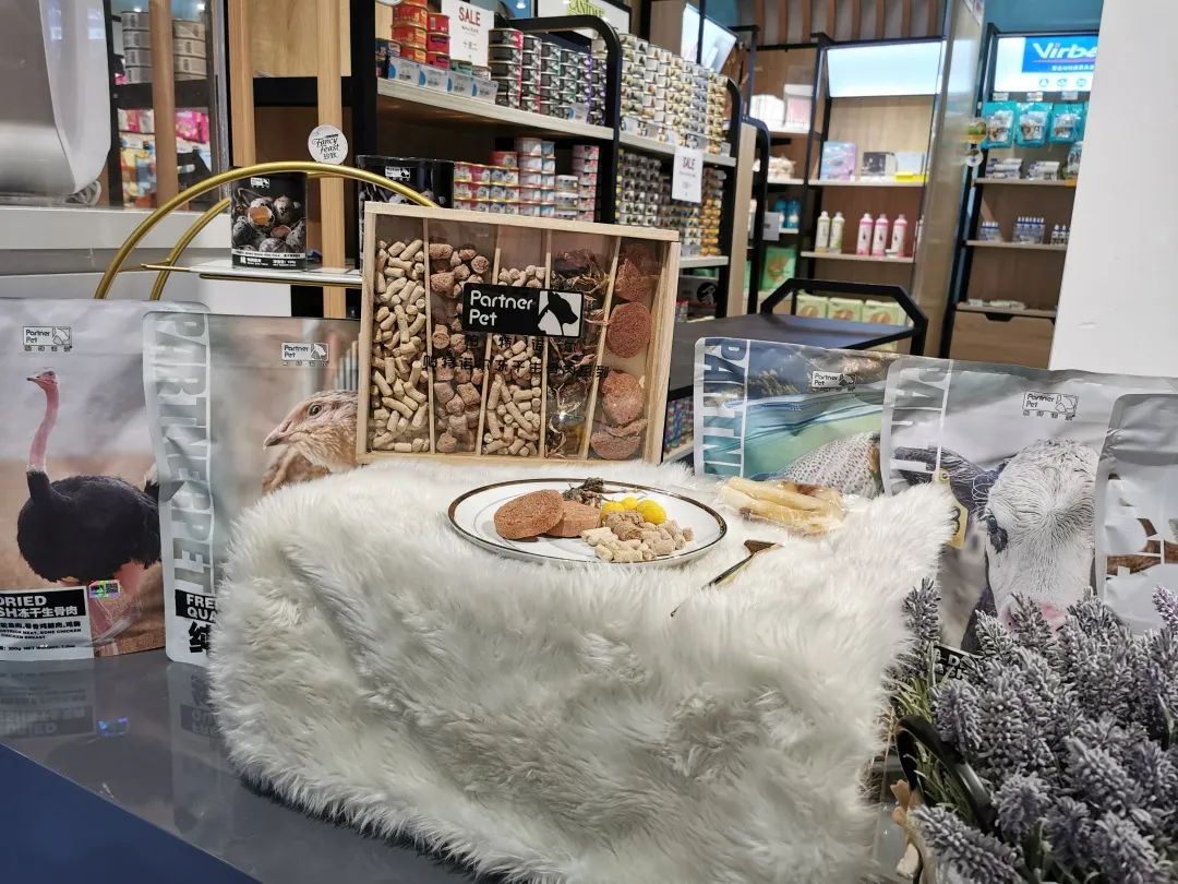 欢迎同行入内,这是一家为宠物店而开的宠物