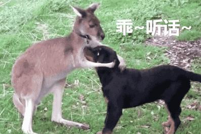 自然顺产会有哪些后遗症,顺产会留下多少后遗症