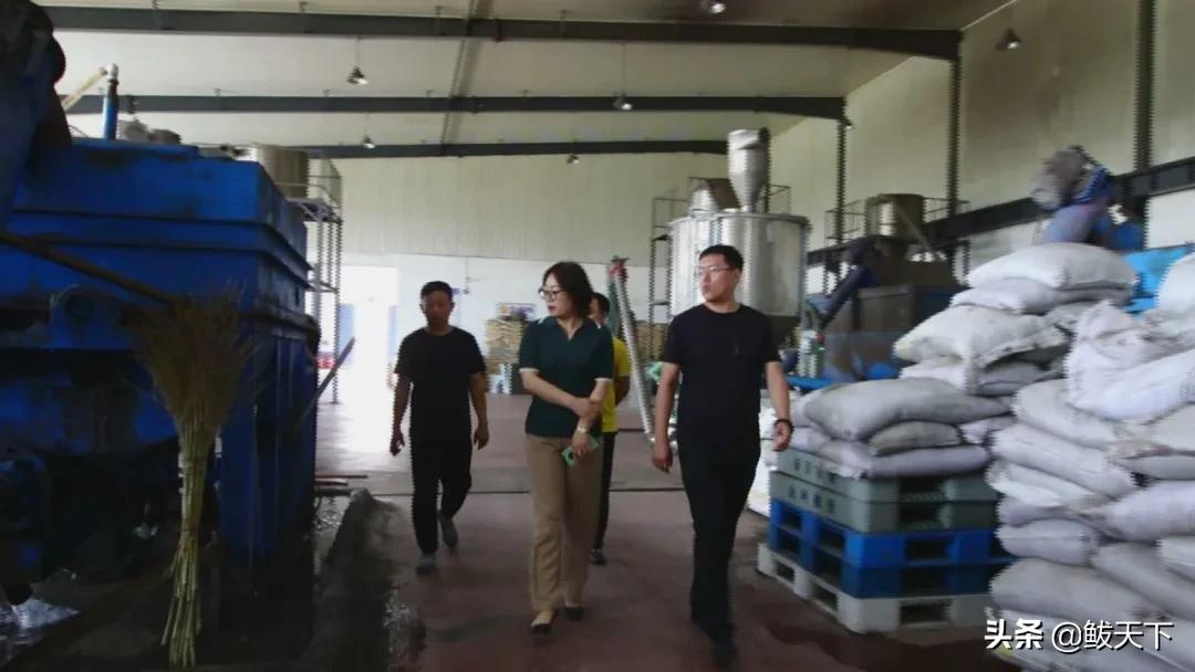 疫情防控女副镇长,女镇长抗击疫情图片