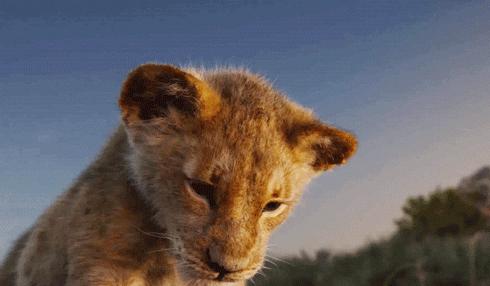 什么样的人会买雷凌,雷凌是好车吗