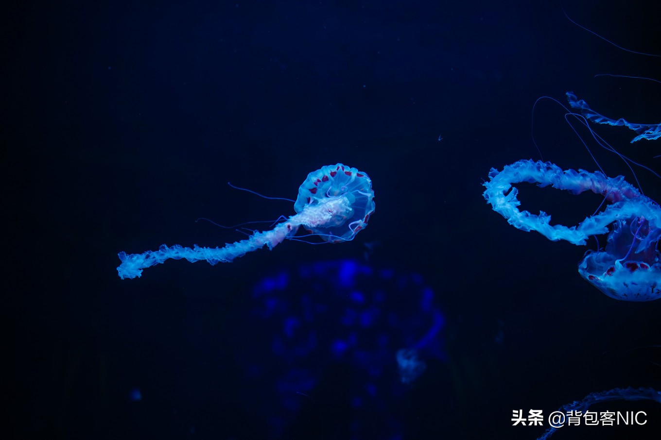 三亚亚特兰蒂斯七星级豪华酒店,三亚最好的酒店是亚特兰蒂斯吗