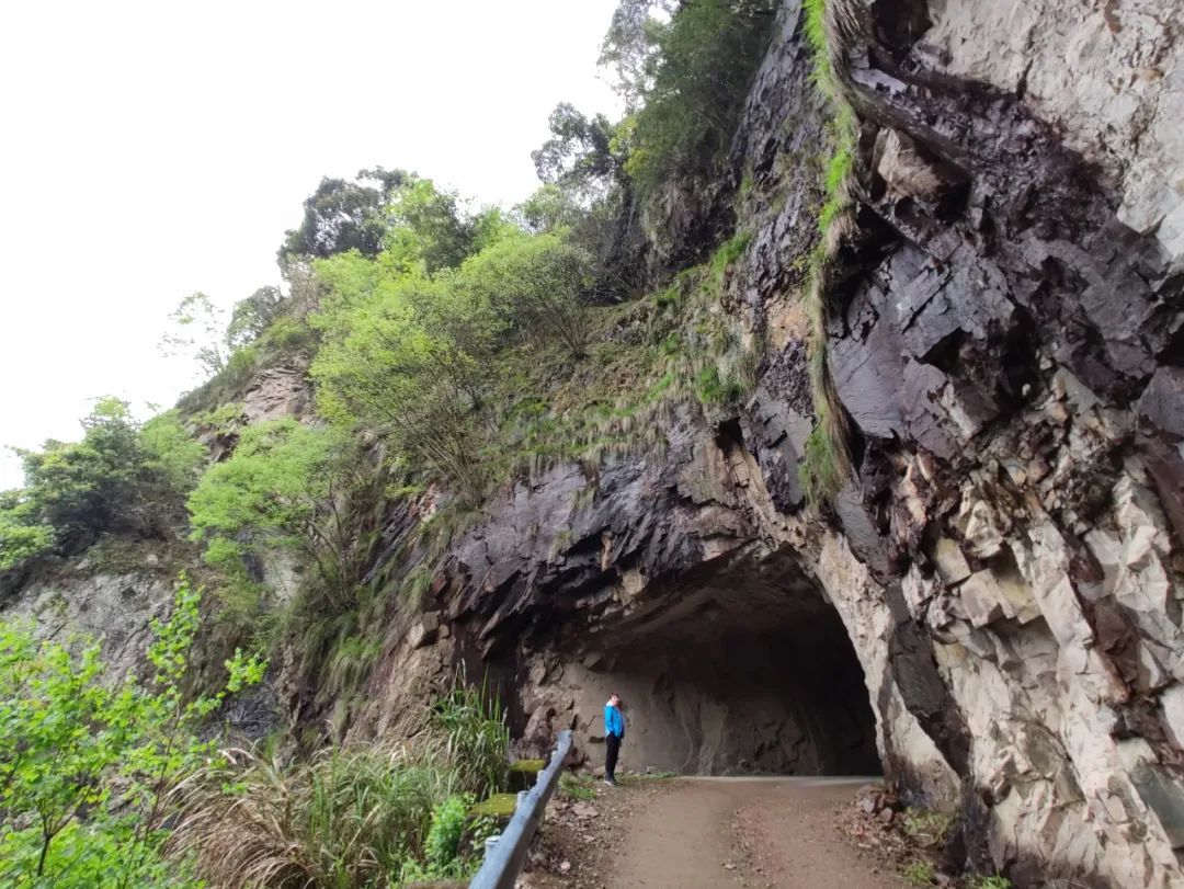 探访悬崖峭壁,大峡谷绝壁长廊