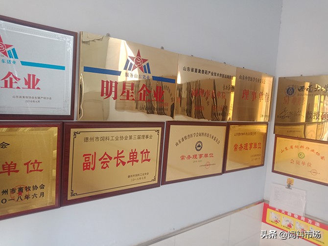 绿色无抗饲料齐鲁行之神牛药业：用制药工艺智造替抗精品