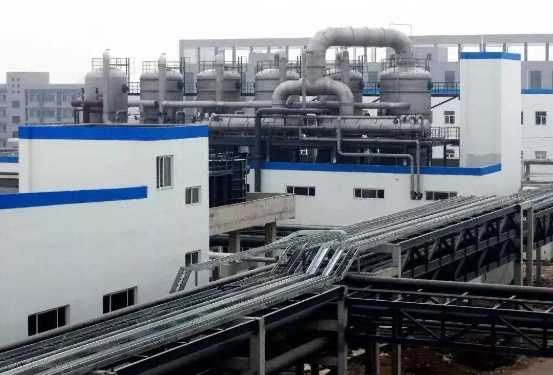 面对困境保定天鹅何以能展翅高飞？转型升级给出答案