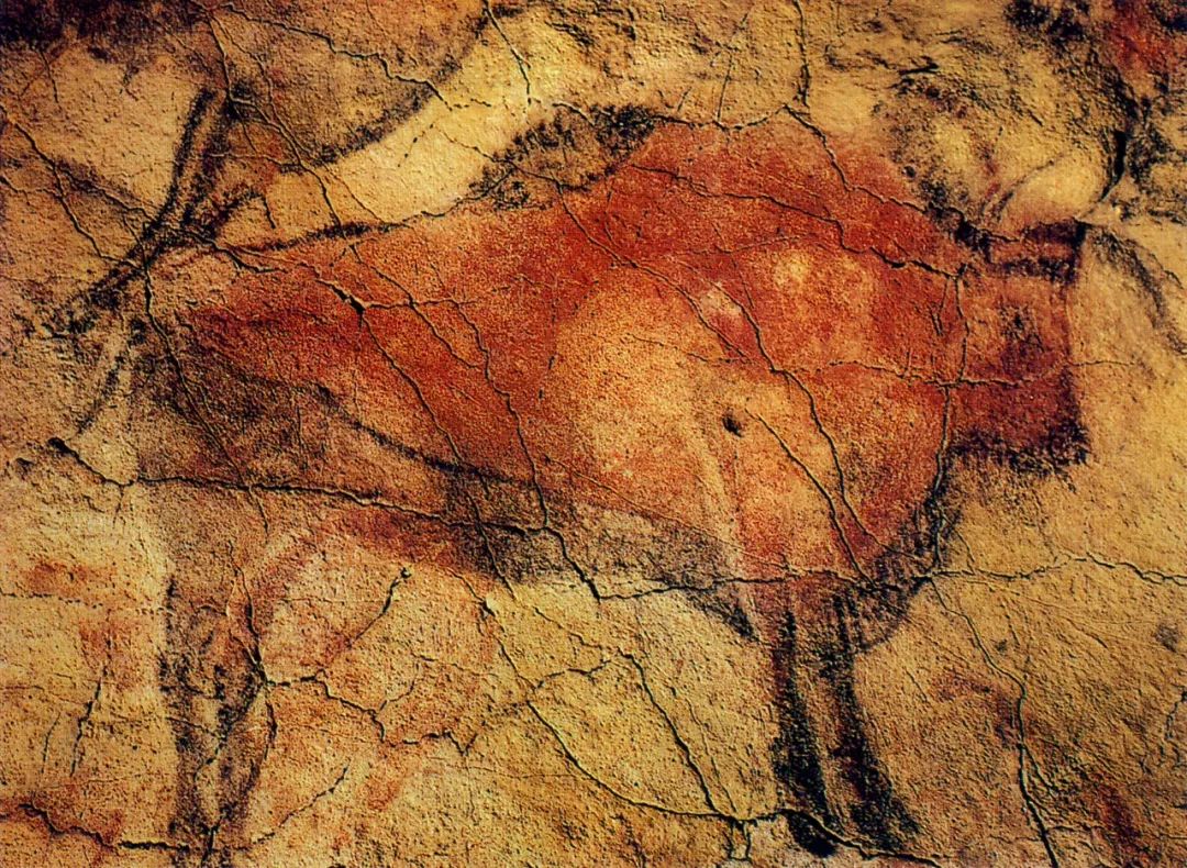 装饰艺术与生活,装饰是艺术