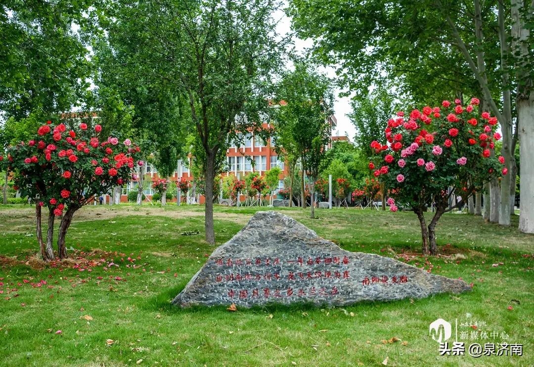 楂樻牎椋庨噰绯诲垪,楂樻牎椋庨噰灞曠ず瑙嗛