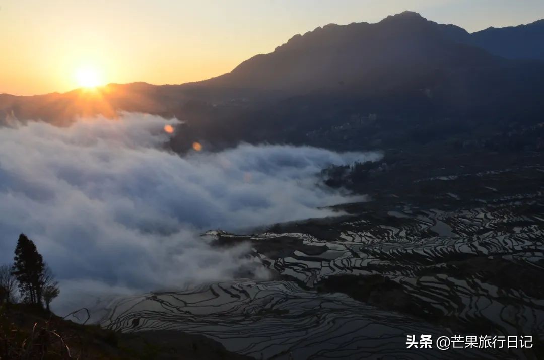 元阳梯田怎么去西双版纳,元阳哪个梯田最值得去