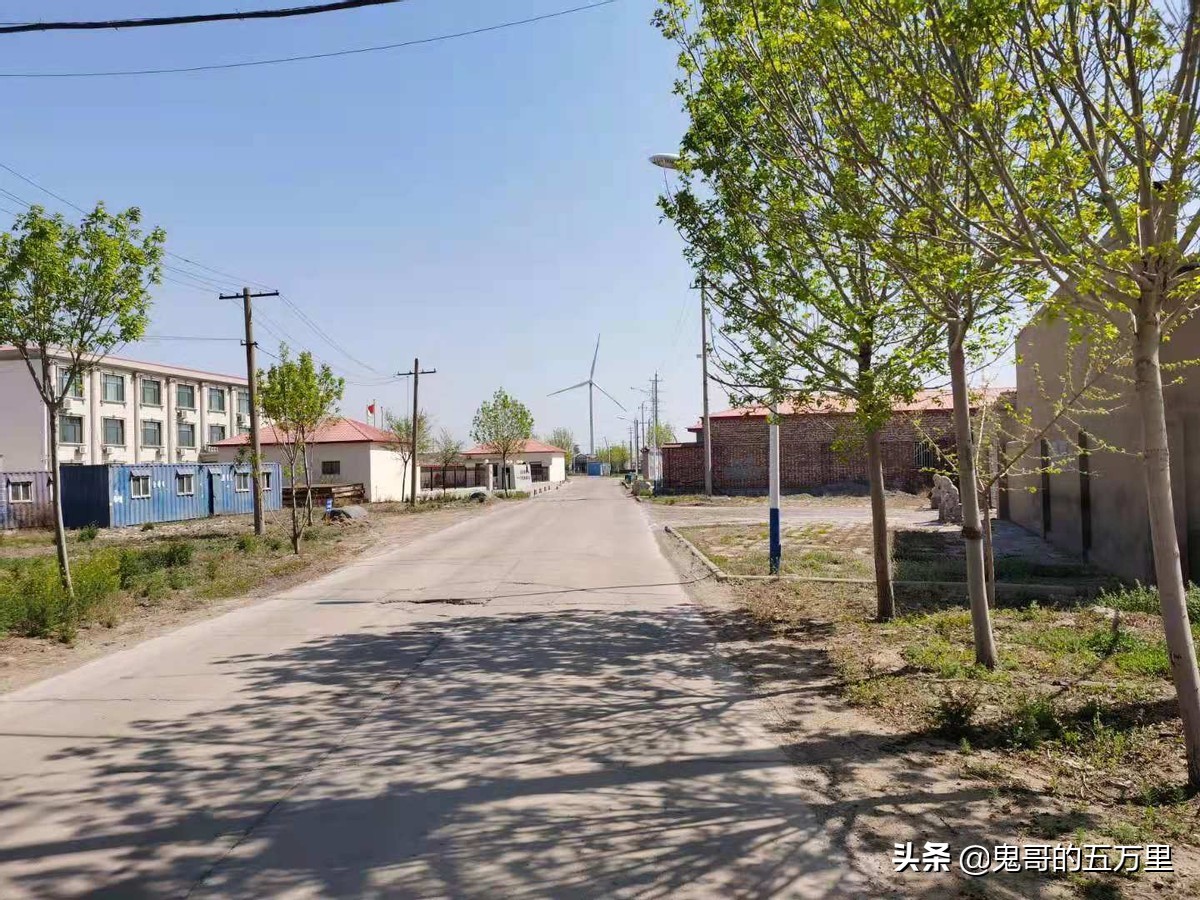 鬼哥的五万里D201骑记：山东回忆录-上,黄骅市上排河镇-滨海新区