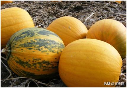 经典田园诗词名句,农民种地的最美诗句