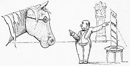 怪医杜立德学到的句子,怪医杜立德绘本阅读