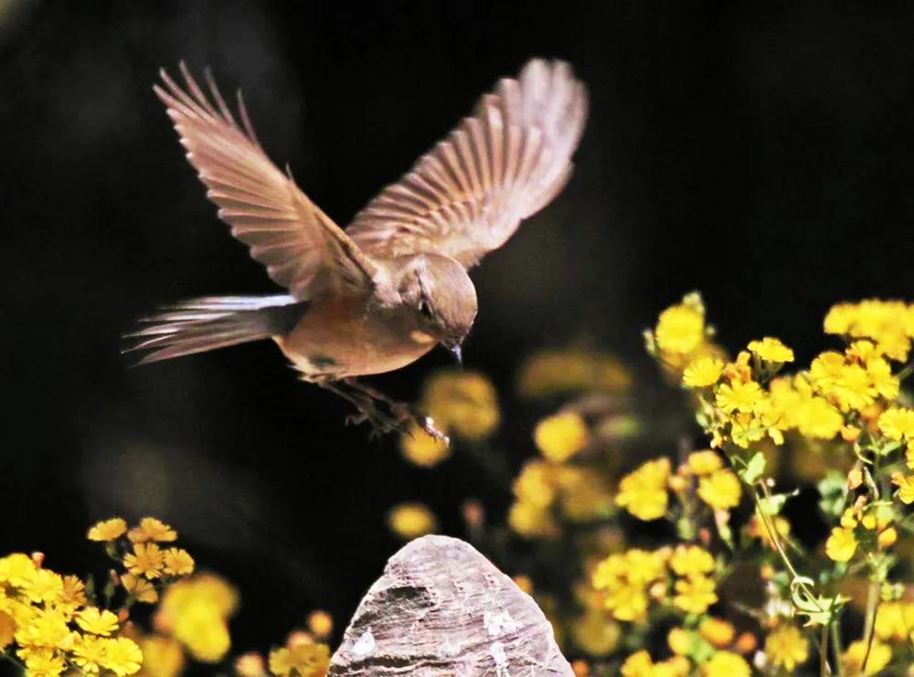 四月发生的事,东城发生的事
