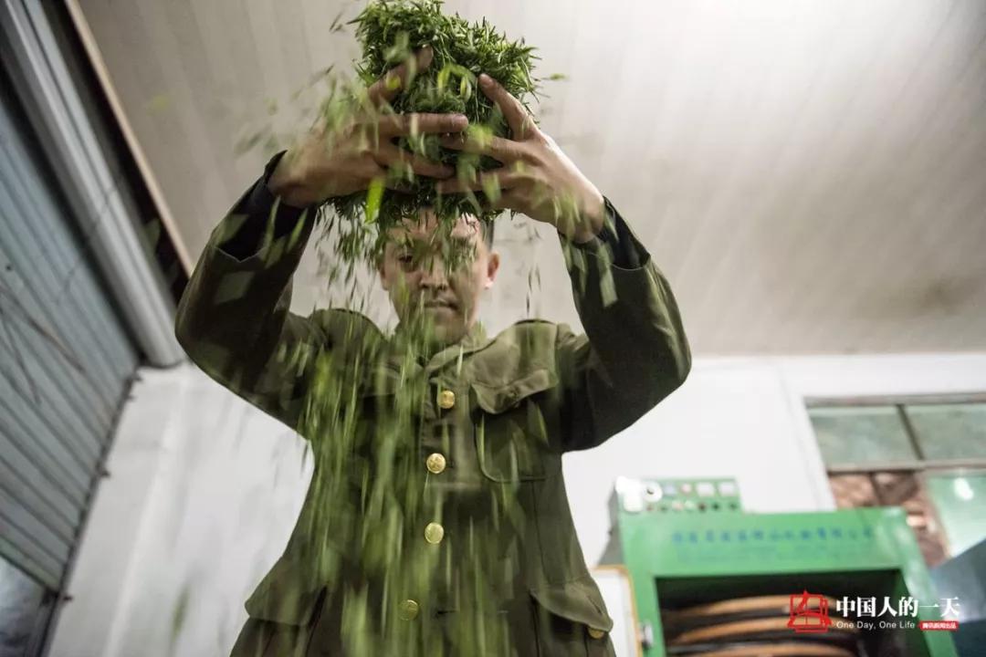 五一去婺源千古茶园,婺源茶文化旅游路线攻略