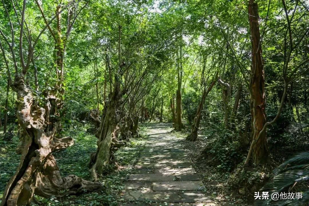 人间仙境般的世外桃源庭院,原始森林自建世外桃源