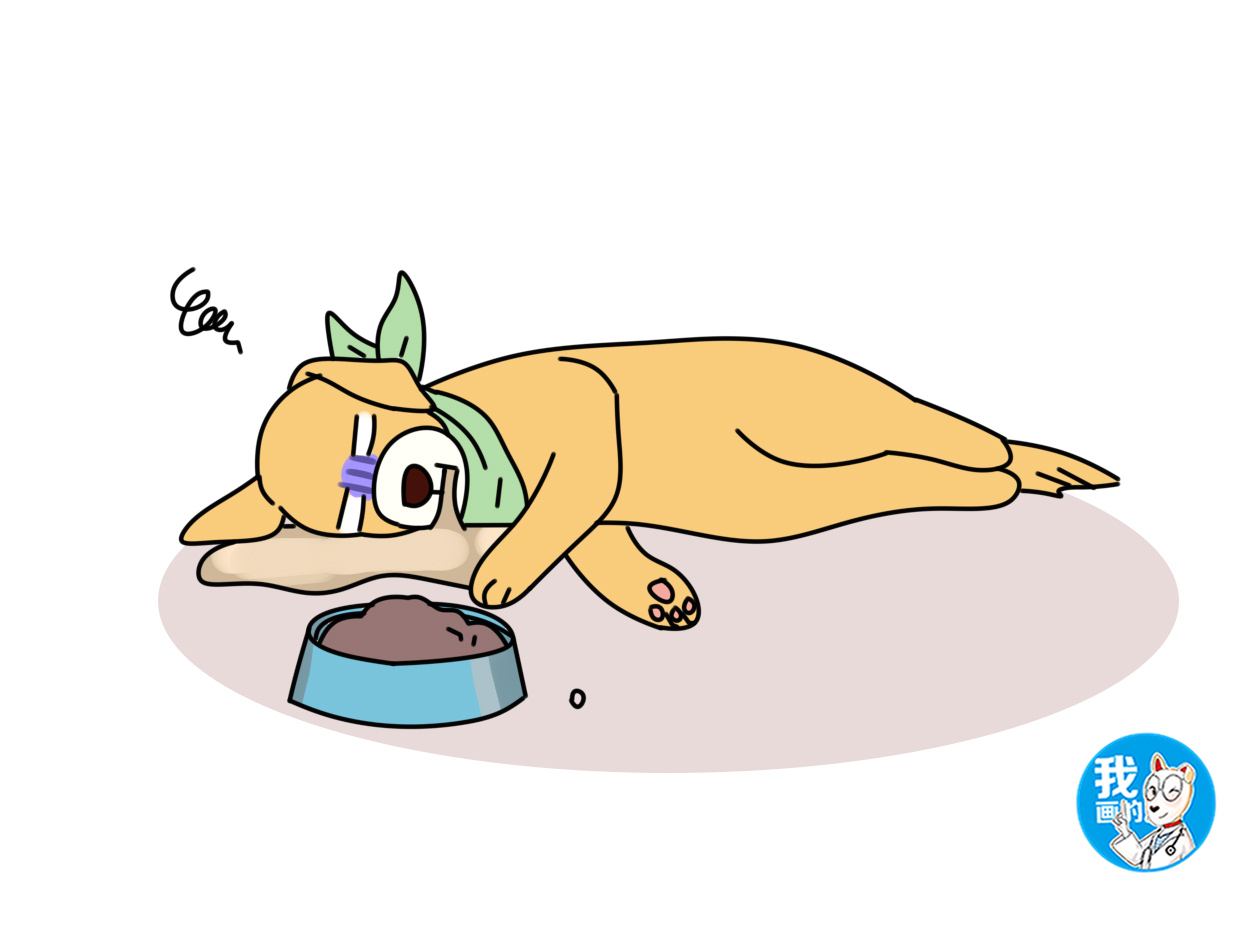 狗狗得了细小主人治病视频,狗狗易患的疾病铲屎官养犬须知