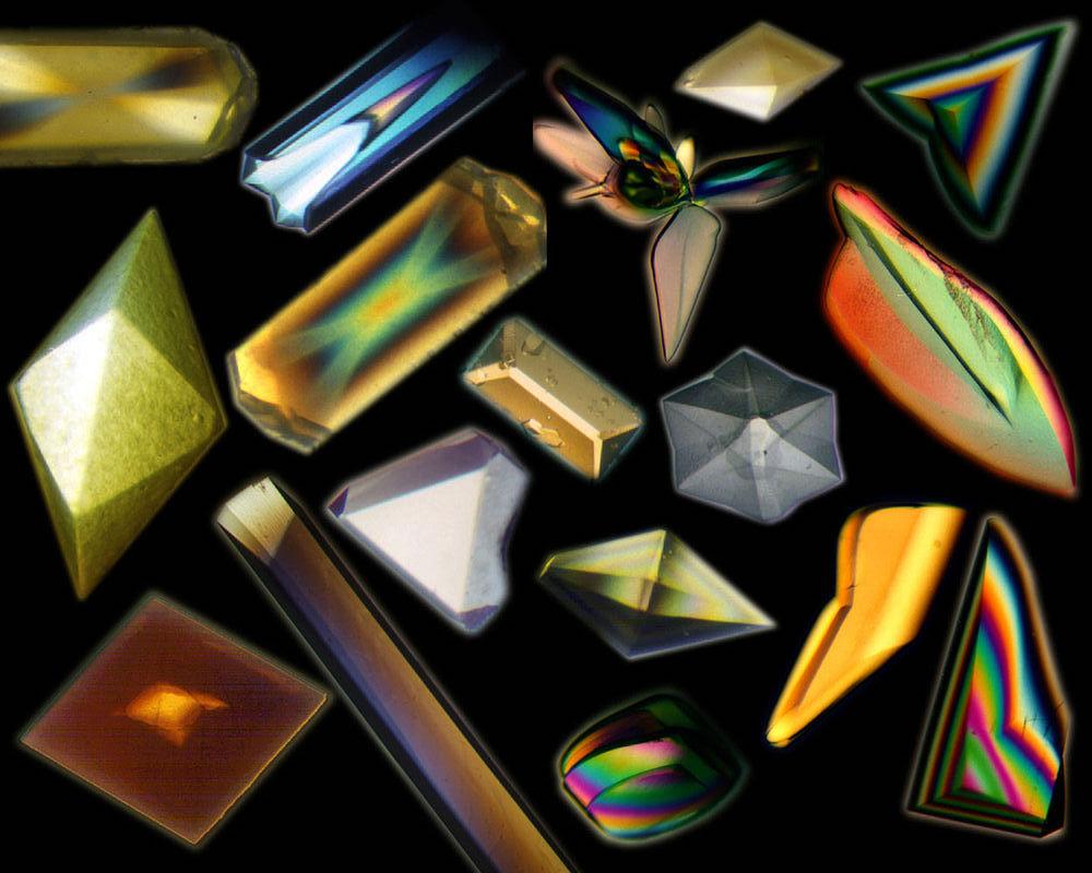 鎶楀嚮鐤儏绉戝鐭ヨ瘑,瓒ｅ懗绉戞櫘鍏辨姉鐤儏