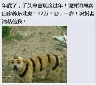 奇葩网购搞笑段子,奇葩的网购搞笑段子