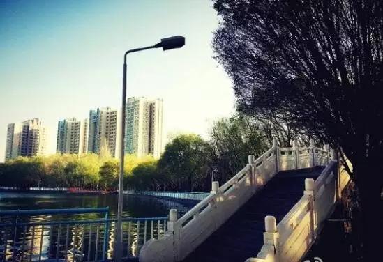 *疆新**大学!真美