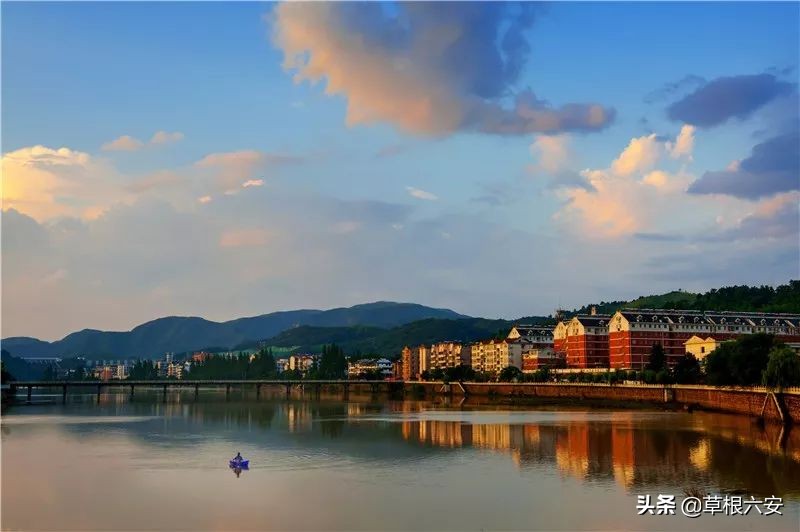 谢谢你来了全集,谢谢你医生