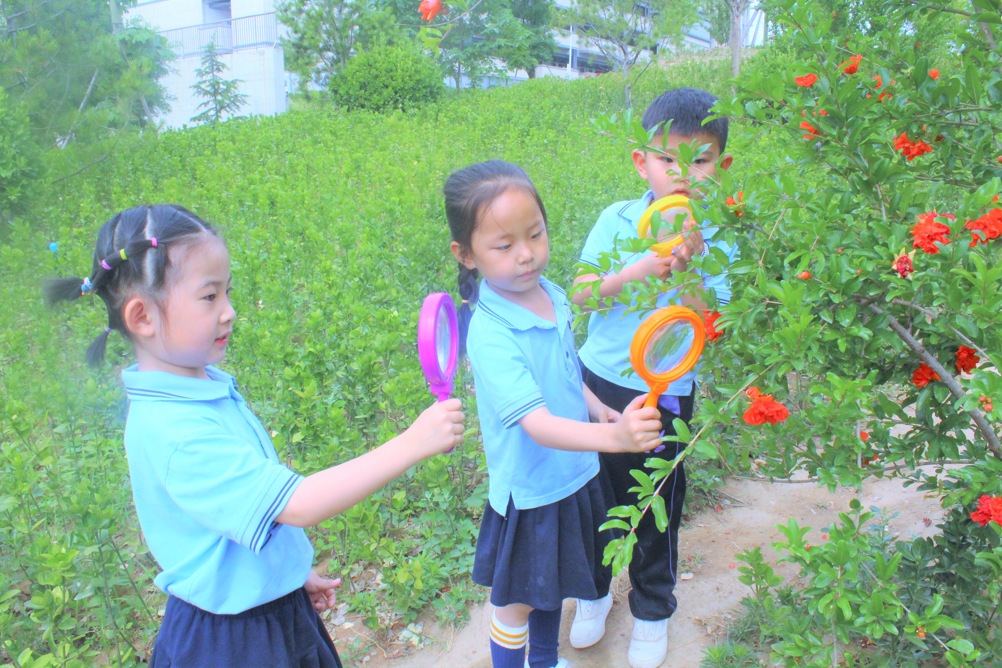 西安交大韩城学校幼儿园2022年,韩城西安交大幼儿园