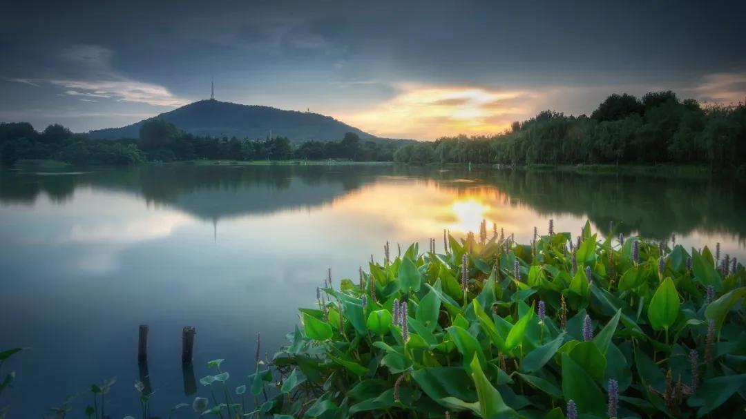 全国最敢赌的城市,逆风翻盘