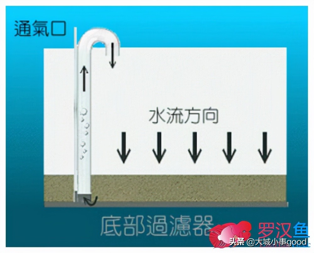 鱼缸过滤系统的基础解析,鱼缸过滤桶过滤原理