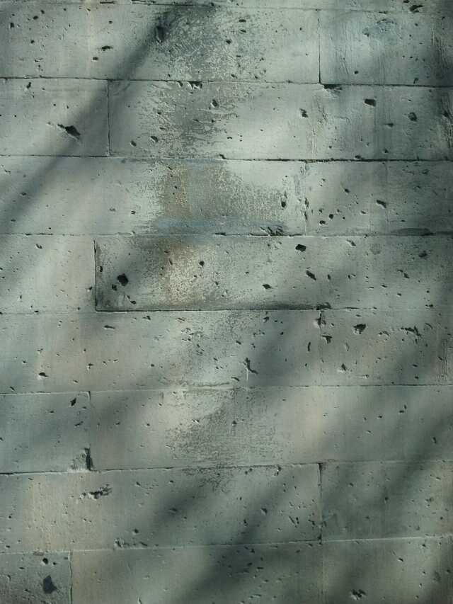 东方维纳“狮”与“万年”银杏王，清化古道上的山西泽州冶底岱庙