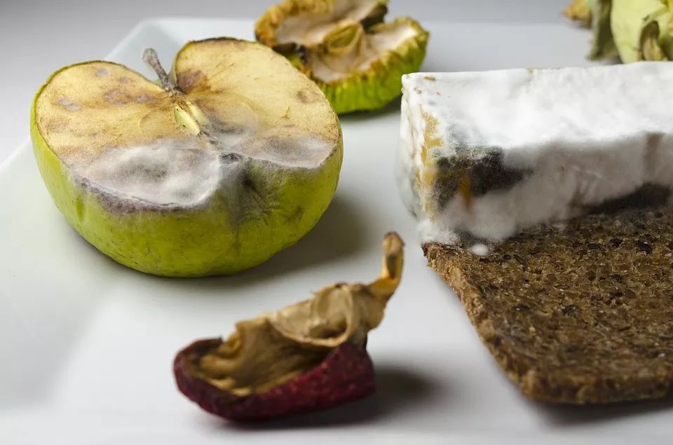 亲戚都喜欢吃的饭菜,一家人吃了发霉的食品