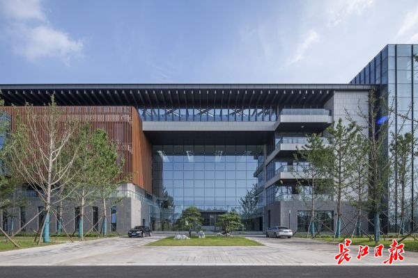 武大华科入驻国家网安学院直播,武汉大学电子信息学院和网安学院