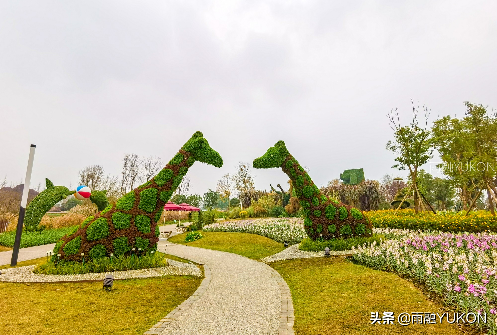 坐拥2项世界纪录的公园:拥有2.2万平米花海,门票仅30元却少有知