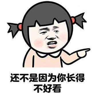 养狗新手与老手的区别,养狗为什么要养纯种犬