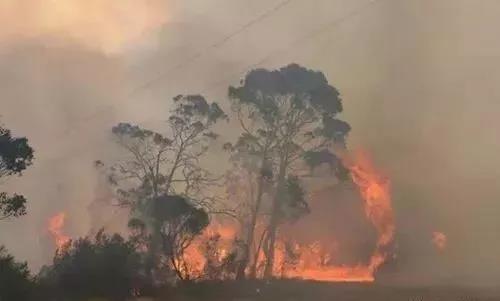 消防知识小课堂短视频短片,消防知识小视频小学生