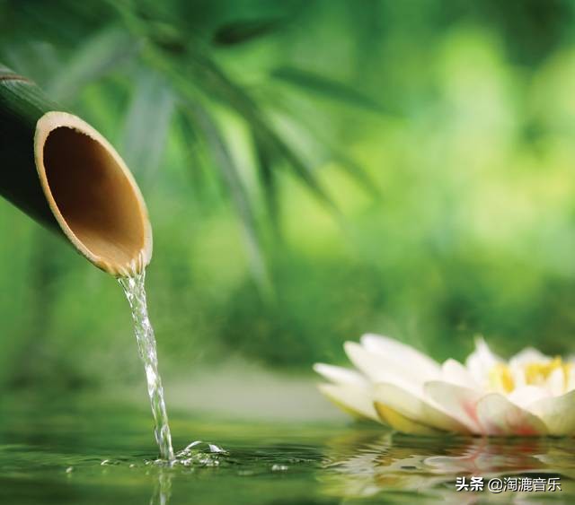 林清玄人生最美是清欢全文,人生最美是清欢林清玄摘抄