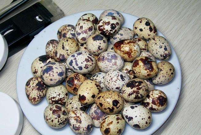 鹌鹑蛋蛋黄胆固醇高的人能吃几个,鹌鹑蛋和鸭蛋哪个胆固醇偏高