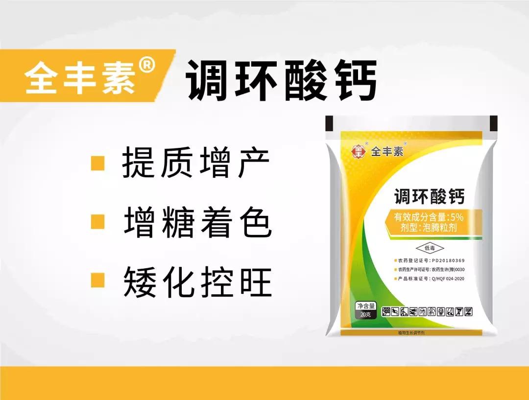 土豆旺长要不得，全丰调控有妙招